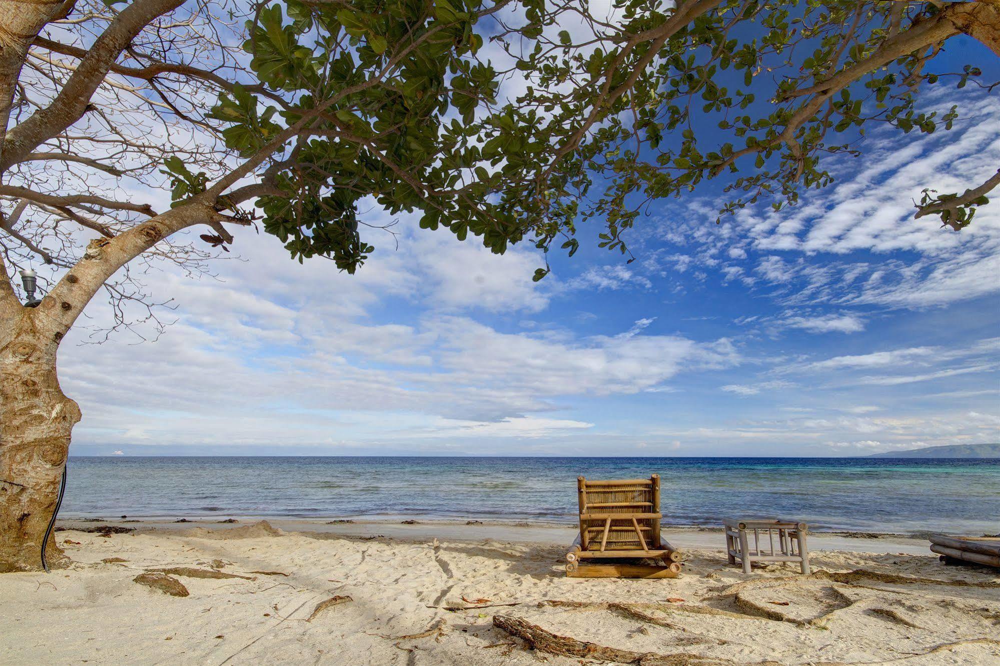 Momo Beach House Panglao Exteriör bild